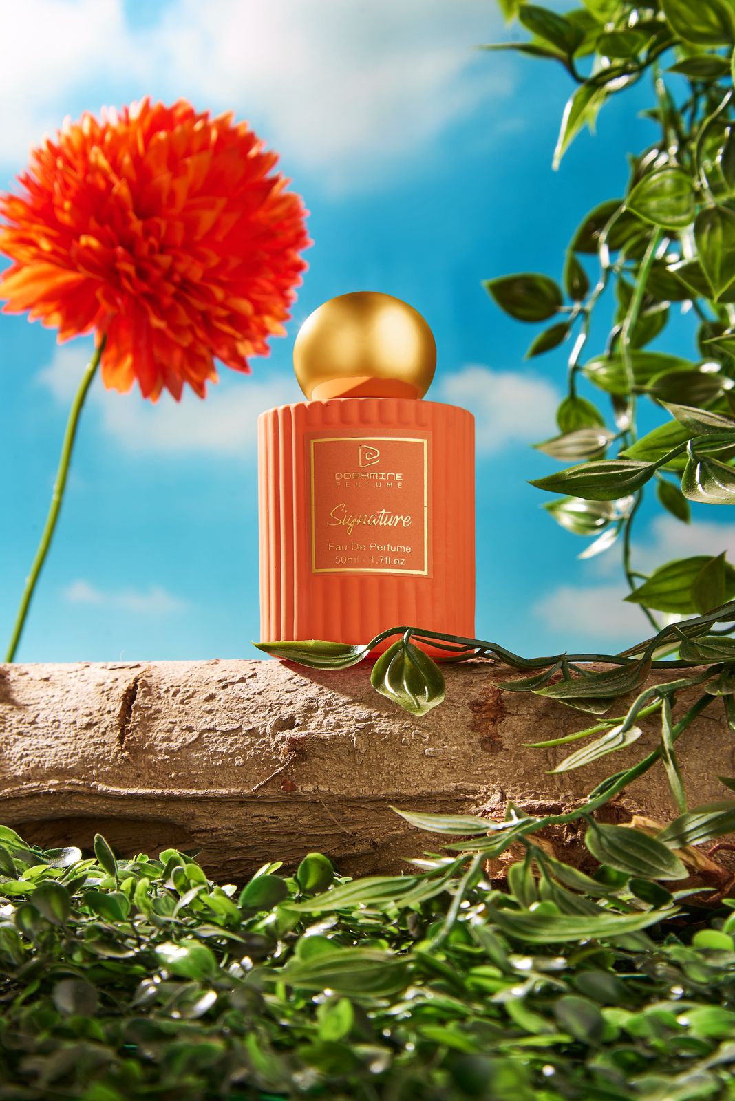 Signature سيجنتشر