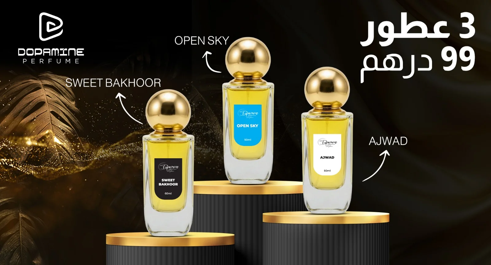 WhatsApp Image 2026-01-19 at 11.08.52 PM